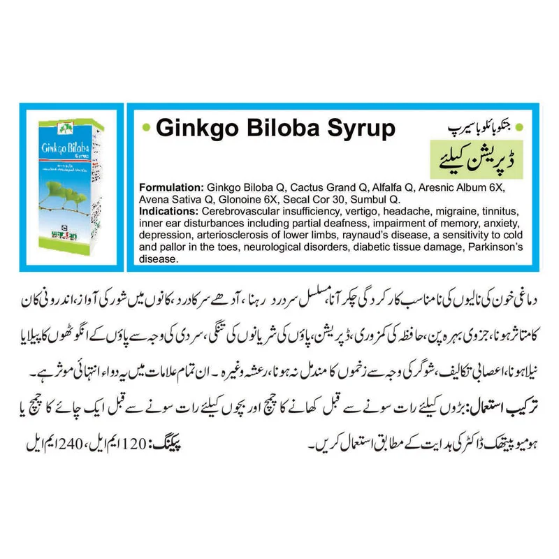 Gingko biloba elixir syrup for depression
