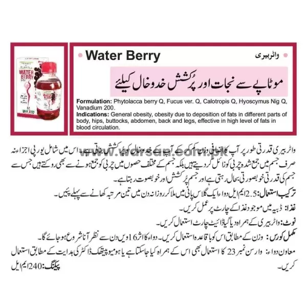 Waterberry Syrup for Weight Loss advanced Formula