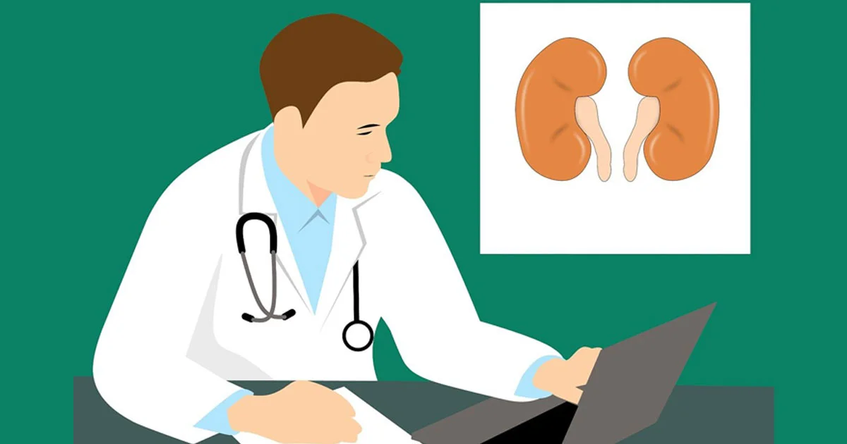 Symptoms and Treatment of Chronic Kidney Diseases (CKD)