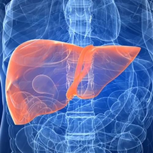 Homeopathic liver treatment consultation for managing fatty liver