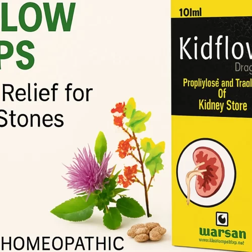 Kidflow Drops by Warsan Homeopathic – natural relief for kidney stones, easing pain, improving urinary flow, and supporting kidney health