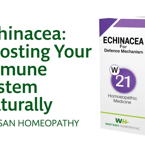Echinacea