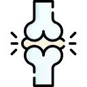 Bones & Joint